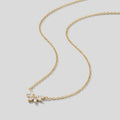 Omelia Crystal Leaf Necklace